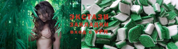 гашик Гусев
