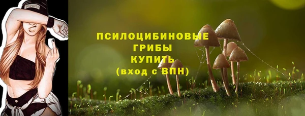 мдпв Гусиноозёрск