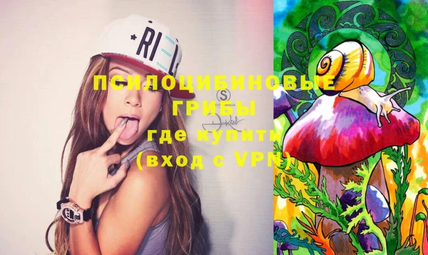 ешки Гусь-Хрустальный