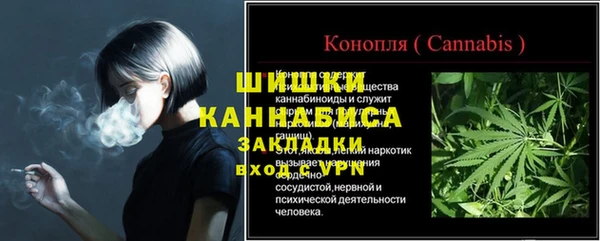 гашик Гусев