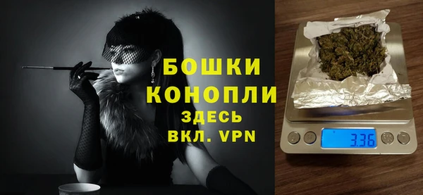 гашик Гусев
