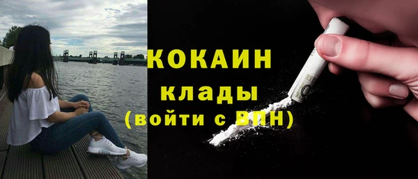 ешки Гусь-Хрустальный