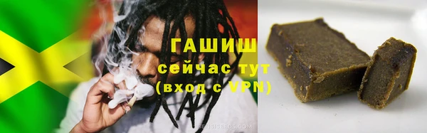 гашик Гусев