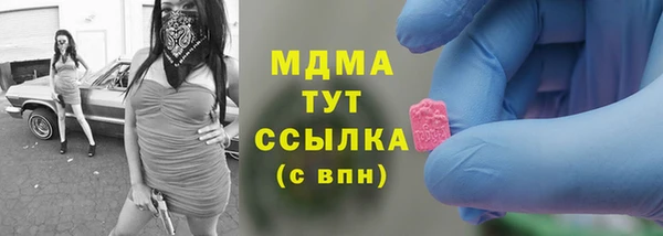 ешки Гусь-Хрустальный