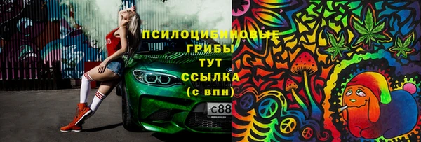 мдпв Гусиноозёрск