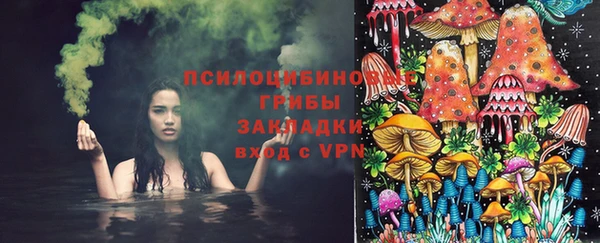 ешки Гусь-Хрустальный