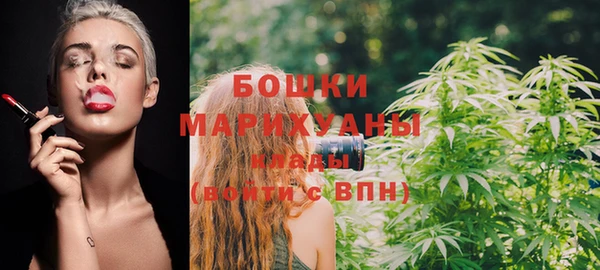 ешки Гусь-Хрустальный