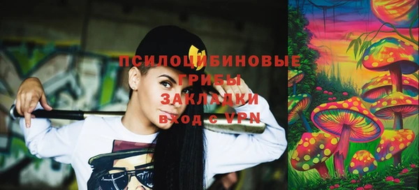 мдпв Гусиноозёрск