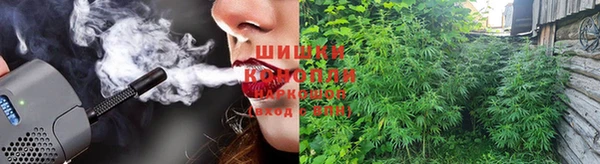 гашик Гусев