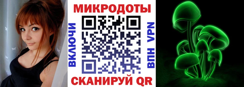 Купить где  Тутаев  Галлюциногенные грибы мицелий 